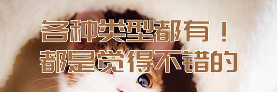 各種類型都有！都是覺得不錯的