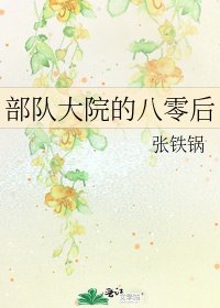 部队大院的八零后
